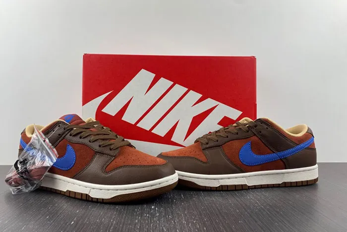 Nike Dunk Low 