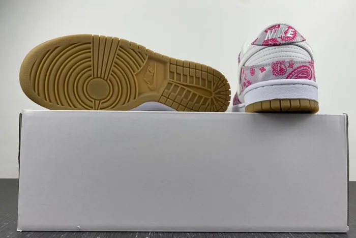 Nike SB Dunk Low Retro SP CT5053-061