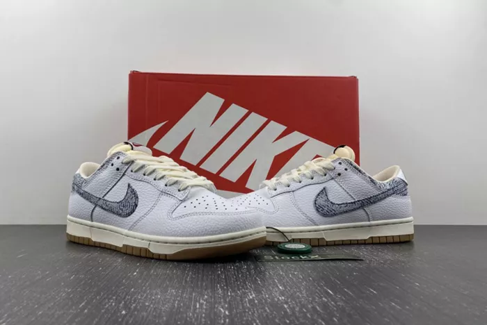 Nike Dunk Low Washed Denim FN6881-100